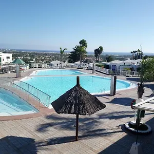 Pitxin , Maspalomas (Gran Canaria) España